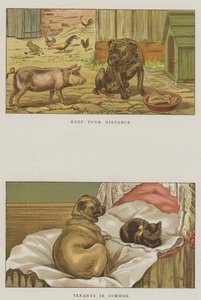 Chiens humoristiques - S.T. Dadd