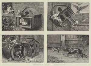 Regarde avant de Sauter, une Catastrophe