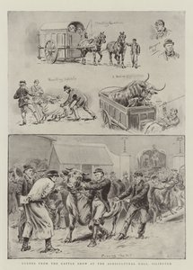 Scènes du salon de l