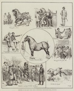 Croquis au Shire Horse Show, dans le Royal Agricultural Hall, Islington
