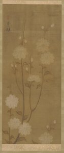 Branches de cerisier tombantes en fleur, période Edo, milieu 18e-début 19e siècle - Sakai Hoitsu