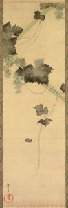 Vignes - Sakai Oho