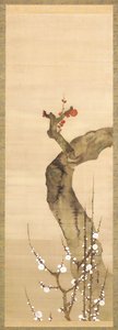 Fleurs de prunier rouges et blanches - Sakai Oho