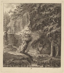 Paysage boisé avec un arbre émondé, 1764 - Salomon Gessner