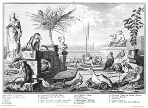 Singes, gallinacés et pluviers