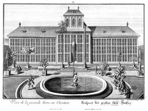 Perspective de la grande serre - Salomon Kleiner