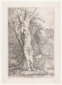 Albert attaché à un arbre