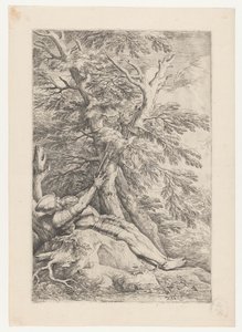 Saint Guillaume de Maleval - Salvator Rosa