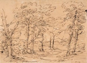Paysage avec des arbres et des montagnes à l