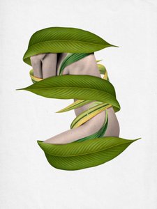 Un corps enveloppé par la nature