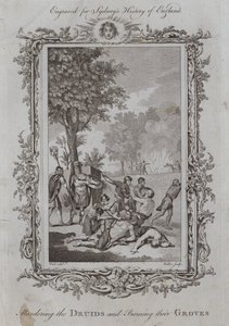 Massacre des Druides et Incendie de leurs Bosquets - Samuel (after) Wale