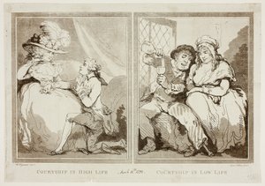La parade nuptiale dans la vie de tous les jours - Samuel Alken