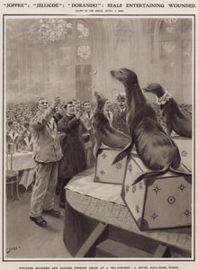 Soldats et marins blessés nourrissant des phoques lors d