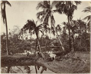 Scène de village au Bengale, Inde - Samuel Bourne (signed by artist)