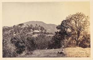 Simla ; "Peterhof - Samuel Bourne