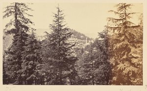Simla ; l