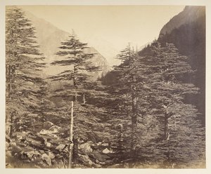 Pics enneigés près de Gangootri depuis Bhairamghati. Photographe : Bourne, Samuel. Album de photographies de l
