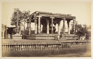 Le grand Taureau de pierre, Tanjore - Samuel Bourne