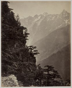 Sans titre - Samuel Bourne