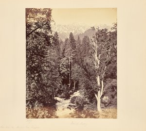  - Samuel Bourne