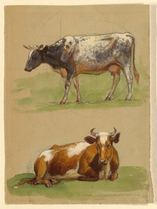 Bétail, une vache marchant et une vache accroupie - Samuel Colman