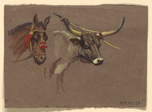 Tête de mule avec bride, tête de buffle ou de bœuf