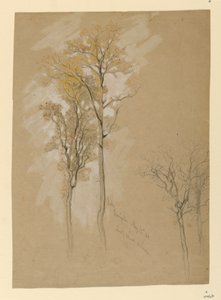 Chênes, Lady Wood Lane, Irvington - Samuel Colman