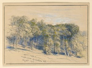 Étude de Maple Grove, Greensboro, Vermont