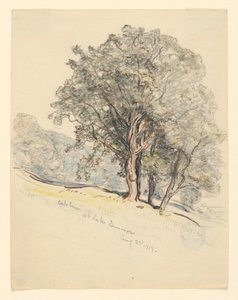 Étude de chênes au lac Dunmore, Vermont - Samuel Colman