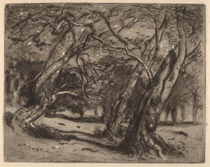 Sans titre (Paysage boisé) - Samuel Colman