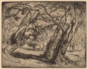 Sans titre (Paysage boisé) - Samuel Colman