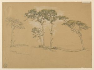 Pins balayés par le vent, Pacific Grove. Verso : Route côtière du Pacifique vers Point Sur. - Samuel Colman