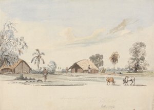 Sirree - Samuel Davis