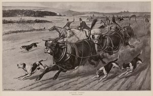 Bravo Toro ! (litho)
