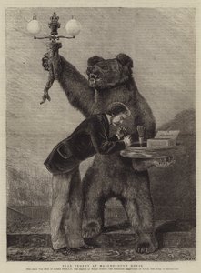 Trophée d