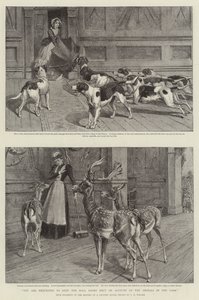 Vous êtes prié de garder les portes du hall fermées à cause des animaux dans le parc - Samuel Edmund Waller