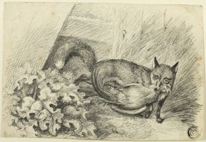 Renard volant un coq - Samuel Howett