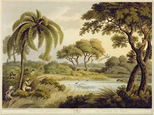 Chasse au Paon, des Sports de Terrain Orientaux, pub. par Edward Orme, 1807 - Samuel Howett