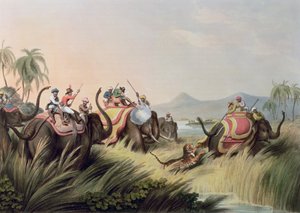 Le tigre acculé, de Sports de terrain orientaux, pub. par Edward Orme, 1807 - Samuel Howett