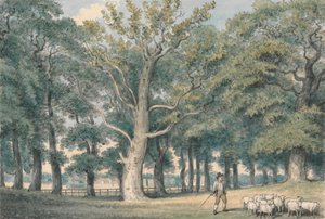 Paysage de parc avec berger et moutons - Samuel Howitt