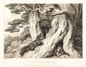 Un coq dans un arbre trompe un renard, tandis qu