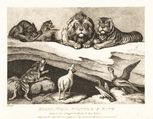 Un procès entre animaux, avec lion et tigre comme juges