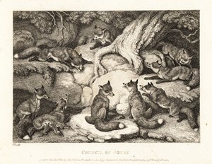 Une meute de renards se réunit dans une forêt. 1811 (eau-forte)