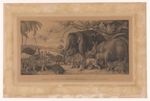 Animaux exotiques de la ménagerie royale à la Strand, Londres (Royal Menagerie, Exeter Change, Strand, London) - Samuel Howitt