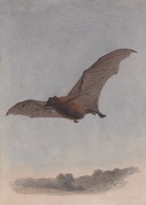 Étude d