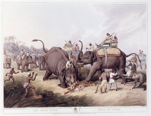 Le Tigre mort; Mort du tigre, 1807 - Samuel Howitt