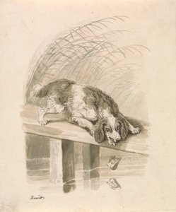 Le Chien et l