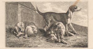 Trois chiens