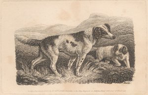 Deux chiens