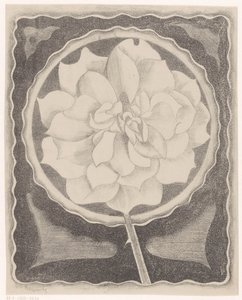 Rose - Samuel Jessurun de Mesquita (signed by artist)